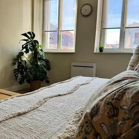 Le Cocon Boheme, Chaleureux Apartment Sarrebourg